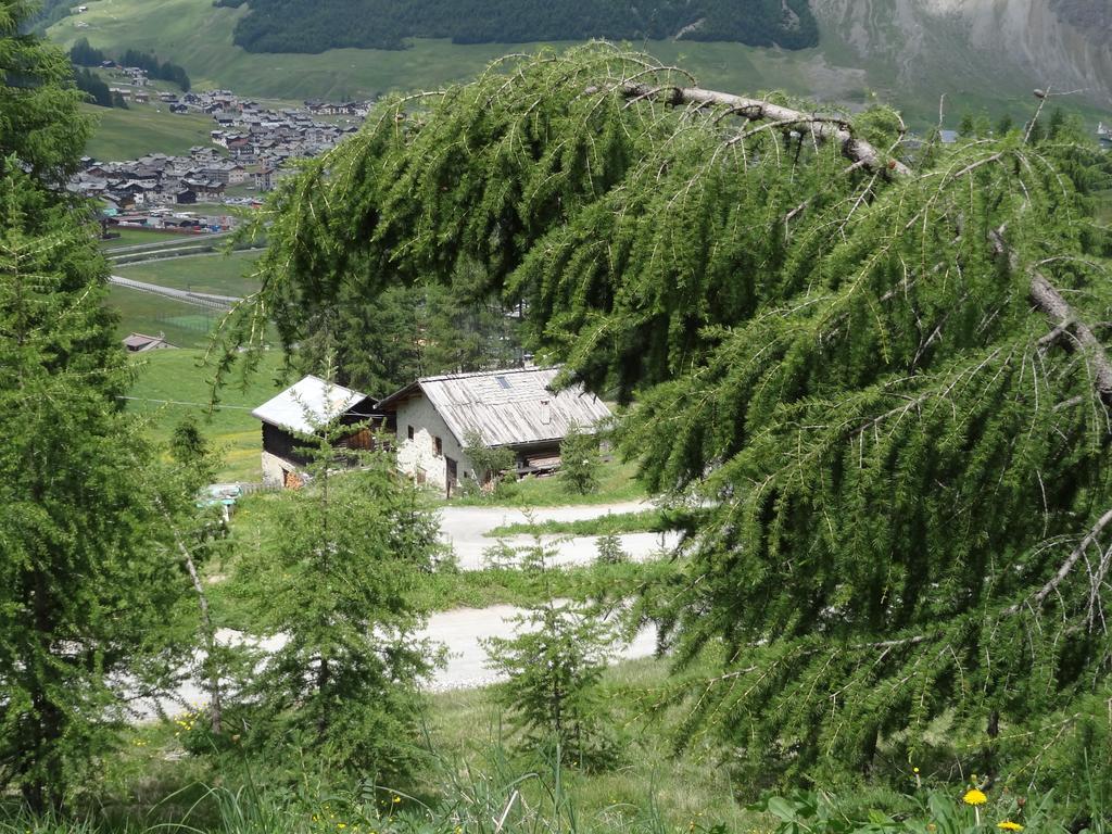 Hotel Marzia Livigno Ngoại thất bức ảnh
